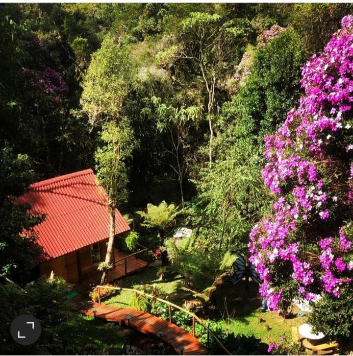 הוילה Campos do Jordão Chale Samambaia מראה חיצוני תמונה